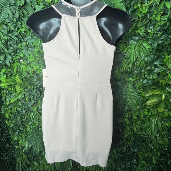 Blashe Dress Women Large Dusty Pink Embroidery High Neckline Short Sheath 0302 - Picture 9 of 16